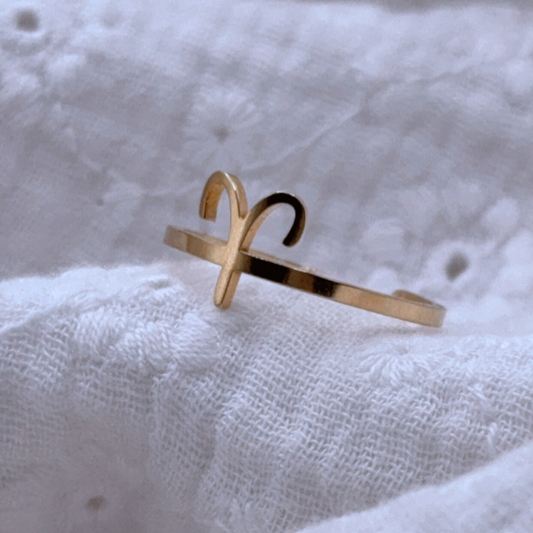 Bague en acier inoxydable signe astrologique, signe astrologique bébé, bague pour maman